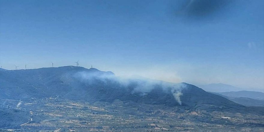 İzmir'in Kemalpaşa ilçesinde orman yangını çıktı