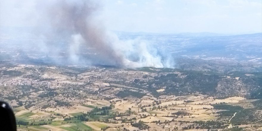 Manisa'da çıkan orman yangınına müdahale ediliyor