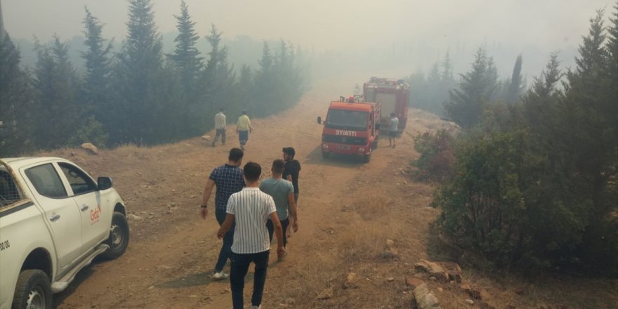 Manisa'da çıkan orman yangını kontrol altında