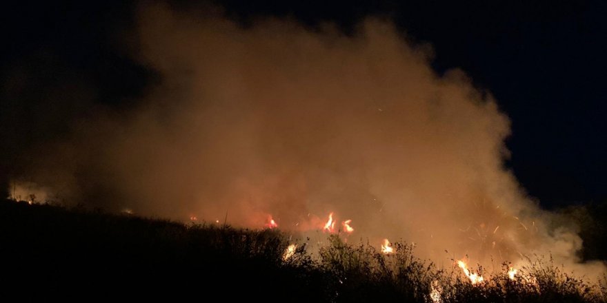 Köyceğiz'de sazlık alanında çıkan yangın söndürüldü