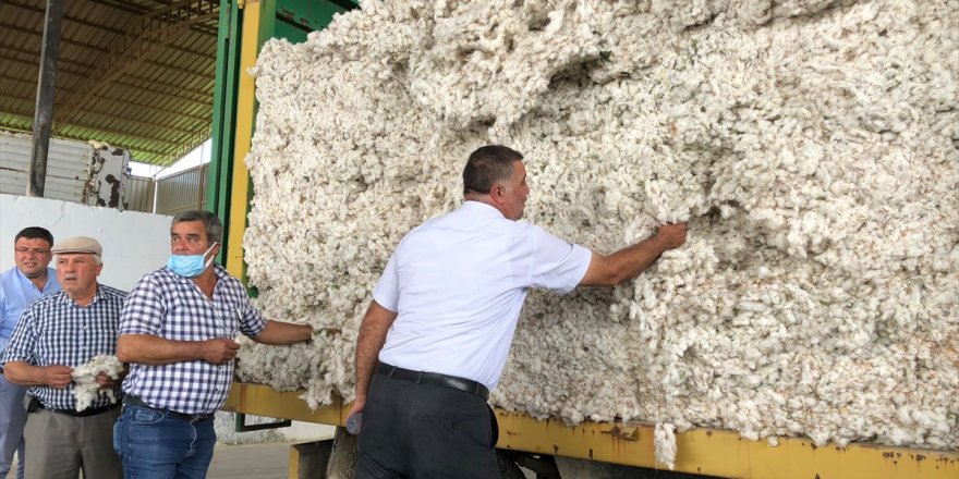 Nazilli'de sezonun ilk pamuğu törenle satıldı