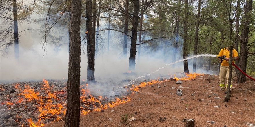 Muğla'da 13 noktada çıkan orman yangınları kontrol altına alındı