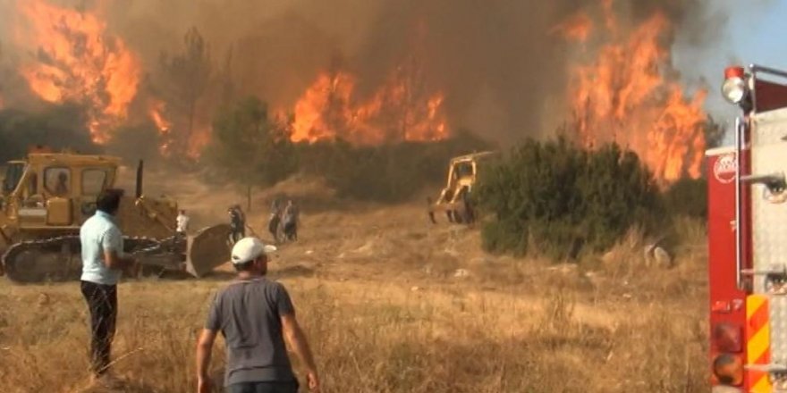 İzmir'de 430 hektarlık ormanlık alanı yaktığı öne sürülen sanığın yargılandığı dava