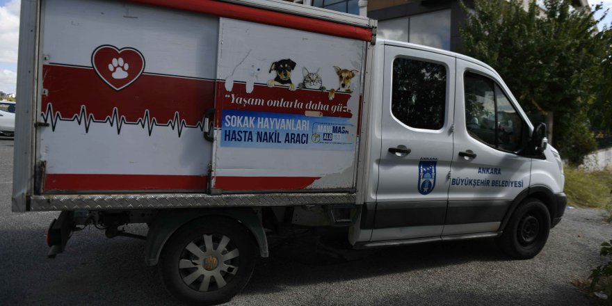 Ankara Büyükşehir belediyesi sokak hayvanları için özel hastanelerle el ele