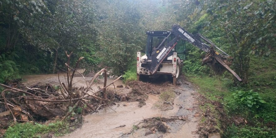 Hopa ve Kemalpaşa’da sağanak yağış etkili oldu