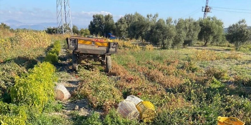 Manisa'da tarlada traktörün çarptığı kadın öldü