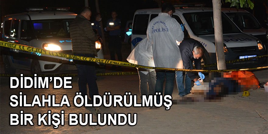 Aydın'da bir kişi silahla öldürülmüş bulundu