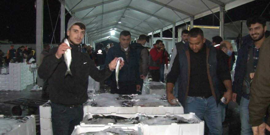 Marmara Denizi'nde lüfer bolluğu balıkçıların yüzünü güldürdü