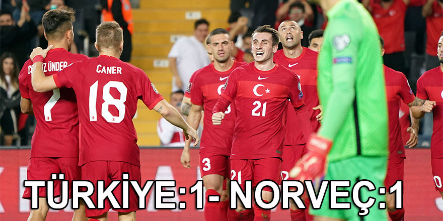 Türkiye: 1 - Norveç: 1