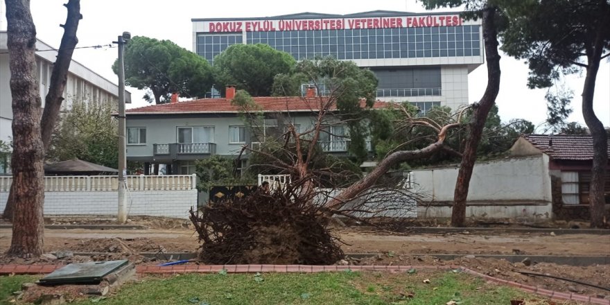 Kiraz Belediye Başkanı Özçınar'dan, Büyükşehir Belediyesine "ağaç" tepkisi