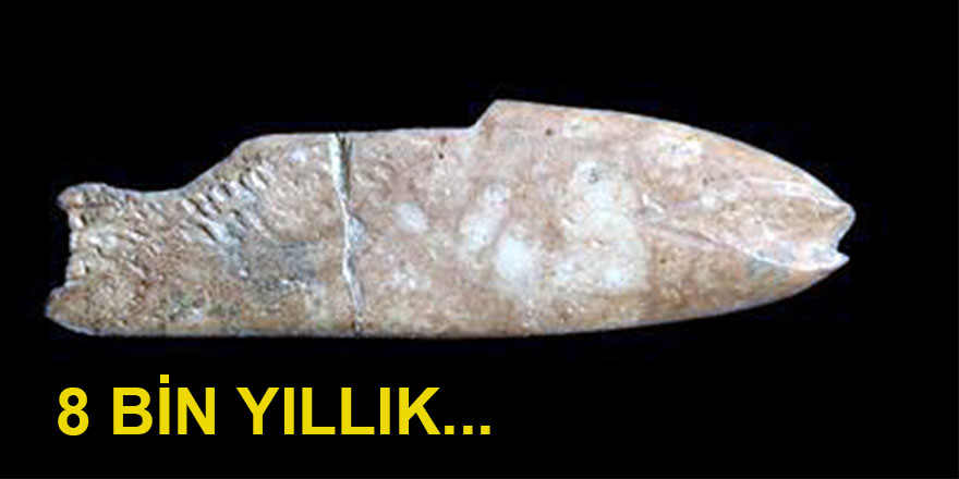 İzmir'de 8 bin yıl öncesine ait balık figürlü alet bulundu