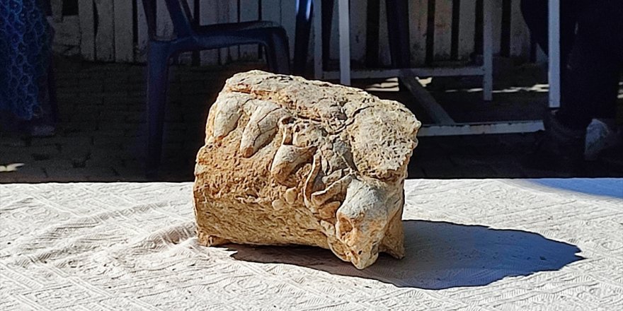 Manisa'da çocuğun bulduğu, fosili andıran kaya parçası incelemeye alındı