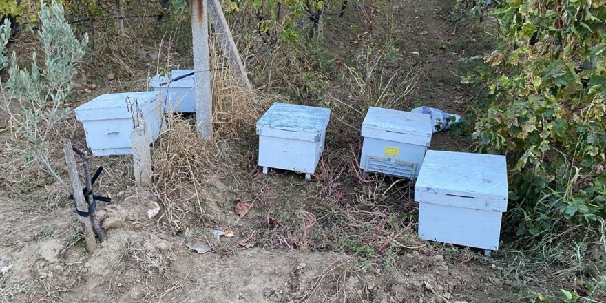 Manisa'da arı kovanı çalan şüphelileri jandarma yakaladı