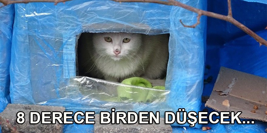 Meteoroloji'den flaş uyarı! 8 derece birden düşecek...