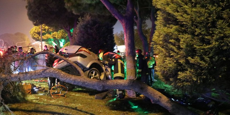 Manisa'da refüjdeki ağaca çarpan otomobilin sürücüsü ağır yaralandı
