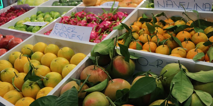 Adana Uluslararası Tarım, Sera ve Bahçe Fuarı kapılarını açtı