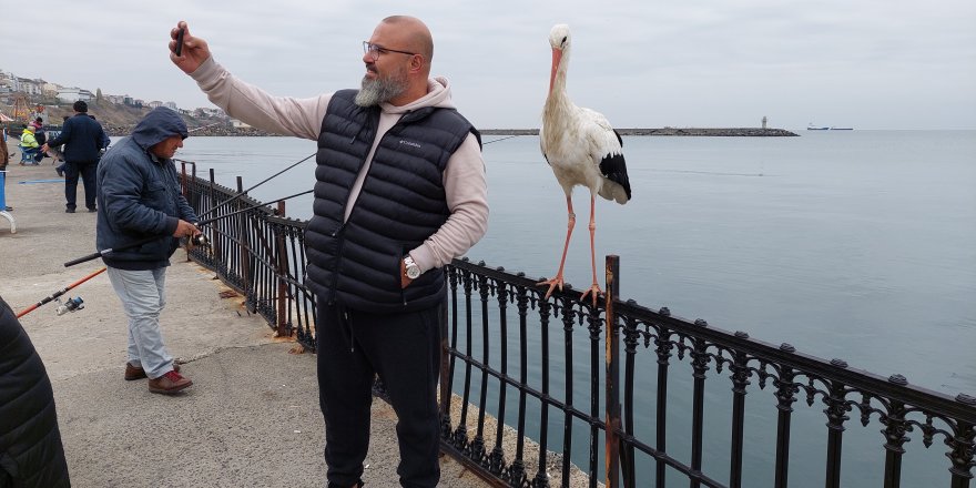 O leylek meşhur oldu, gören cep telefonuna sarılıyor