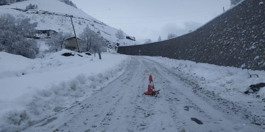 Artvin-Ardanuç-Ardahan karayolu kar nedeniyle ulaşıma kapandı