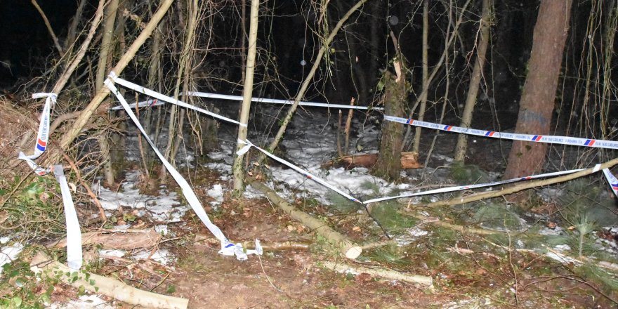 Sinop’ta Kıbrıs gazisi kestiği ağacın altında kalarak hayatını kaybetti