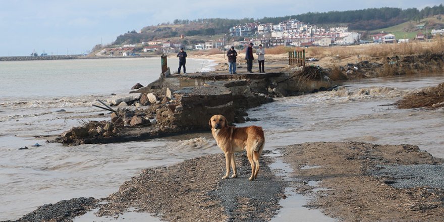 Edirne felaketi yaşıyor, sel sularına dayanamayan köprü yıkıldı