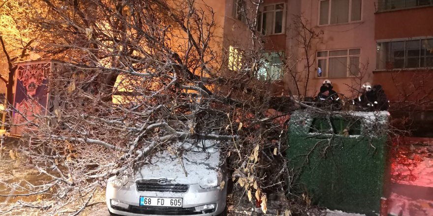 Aksaray’da etkili olan kar yağışı ağaçları devirdi