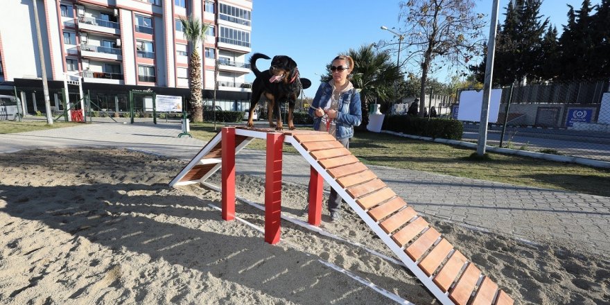 Gaziemir’de köpeklere özel park açıldı