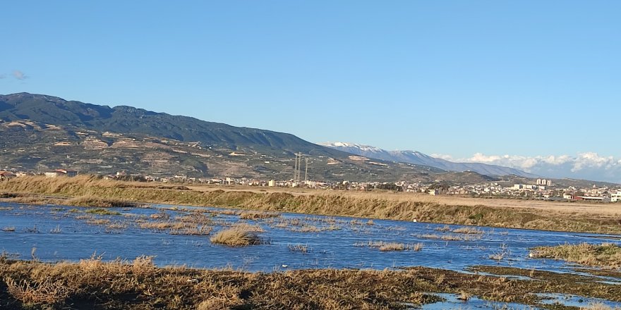 Milleyha Kuş Cenneti yağış sonrası göletler ile doldu