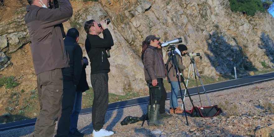 Datça’da yaban keçisi envanteri çalışması