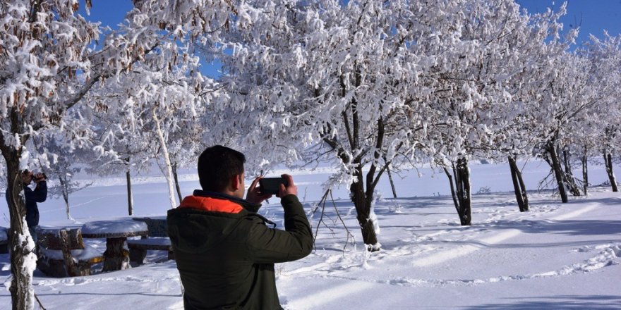 Bitlis'te dondurucu soğuk