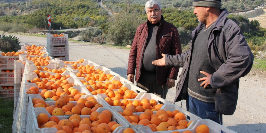 Dalında 1,5 liraya sattı; zincir markette fiyatı 5,90 liraya fırladı