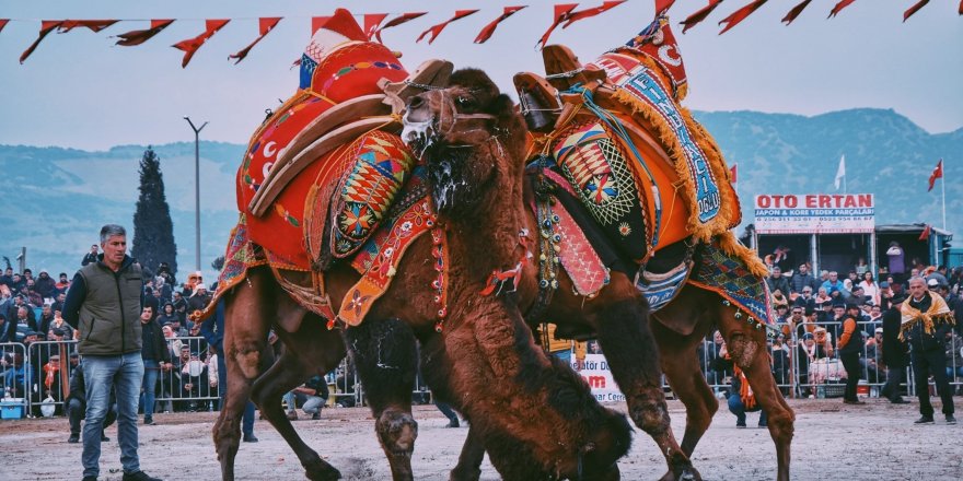 Deveci Başkan'dan yeni yılın ilk deve güreşine davet