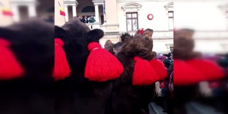 Romanya’da ayı kostümlü geleneksel yılbaşı kutlaması