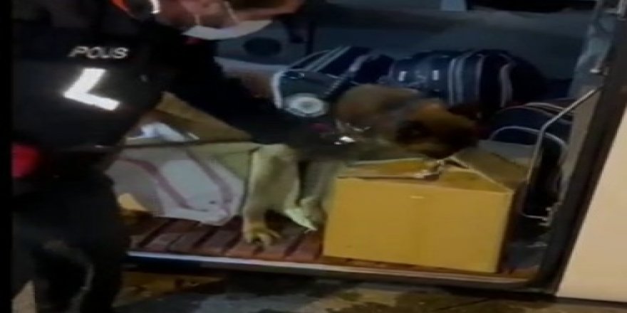 Malatya’da yolcu otobüsünde 65 kilogram esrar ele geçirildi