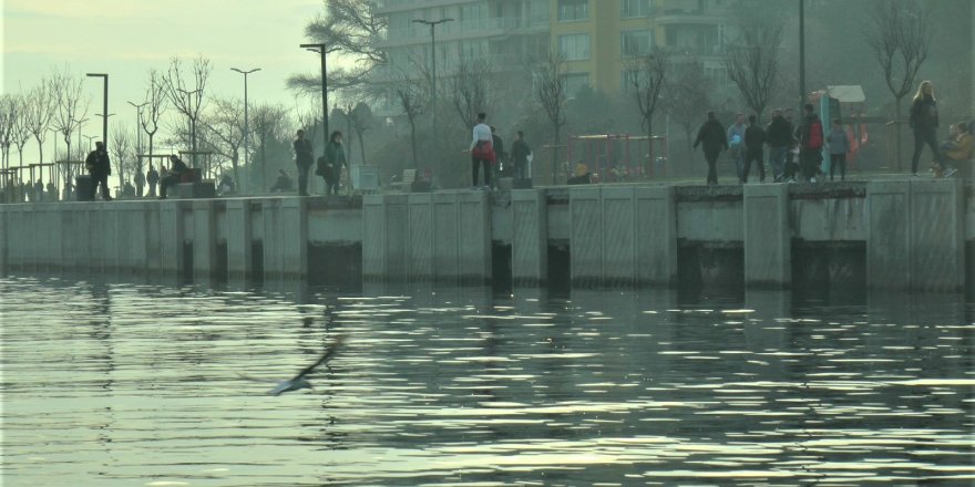 Kurbağalıdere’de tonlarca ağırlıktaki beton plakalar suya düştü