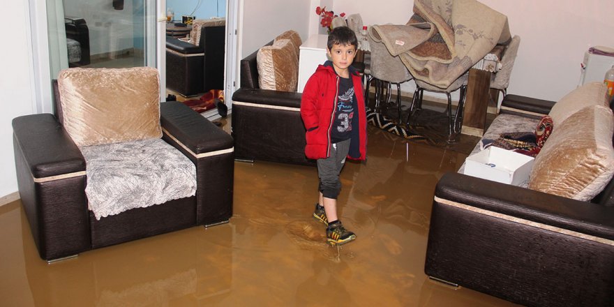 Bodrum’da sel faciası, evleri su bastı, sokak hayvanları boğuldu