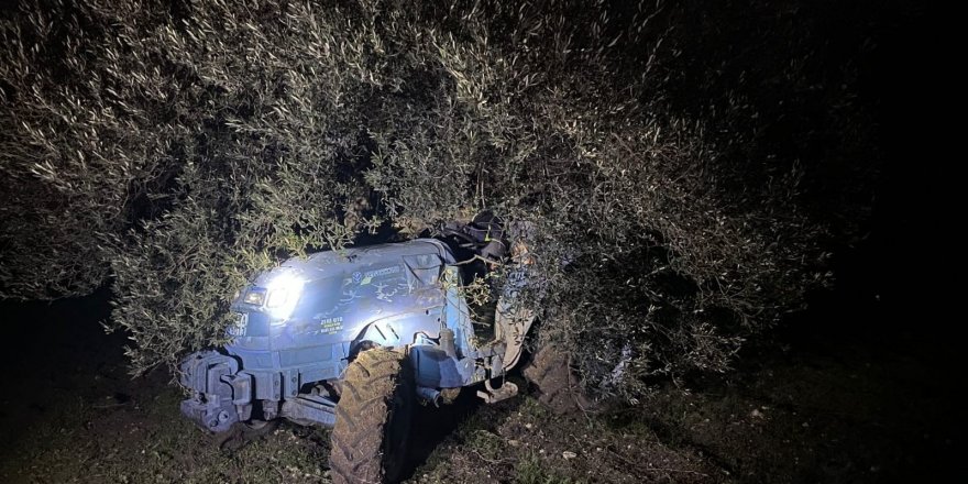 Tarlasındaki zeytin ağacı hayatına mal oldu