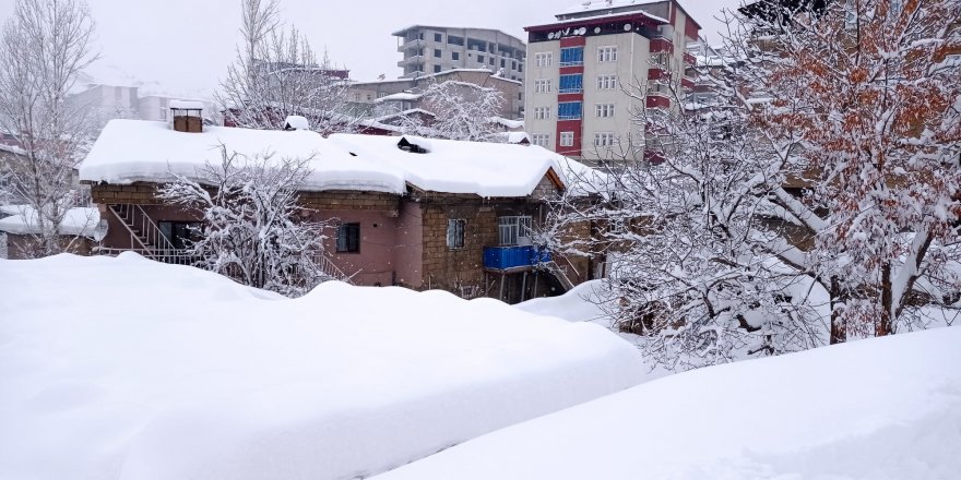 Hakkari'de 346 yerleşim yerinin yolu ulaşıma kapandı