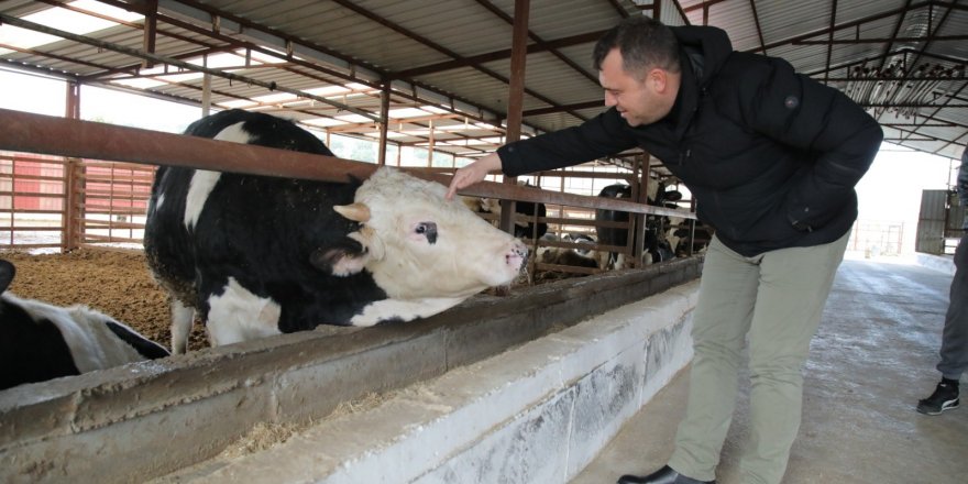 Seferihisar'da 150 üreticinin süt krizi çözüldü: Sütleri Tarım Kredi Kooperatifi satın alacak