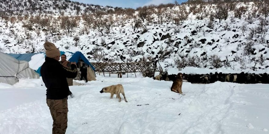 Karda mahsur kalan çoban ve sürüsü 3 saat süren çalışmayla kurtarıldı