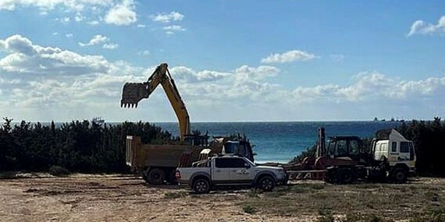 Çevrecilerden 'beach club için ağaçlar kesildi' iddiasıyla suç duyurusu