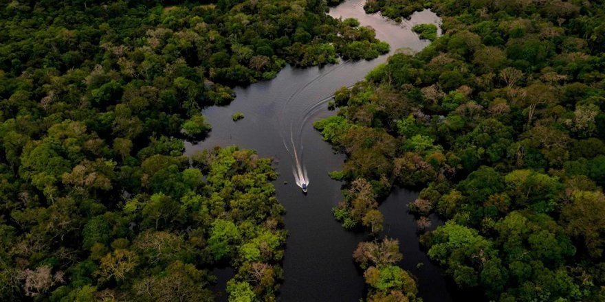 Amazonlar'daki orman tahribatında ocak ayı rekoru kırıldı