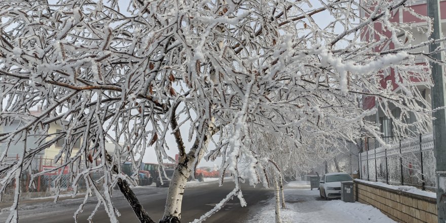 Ardahan eksi 20 derece