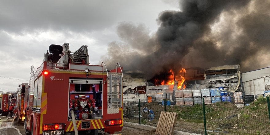 Sakarya'da geri dönüşüm fabrikasında büyük yangın