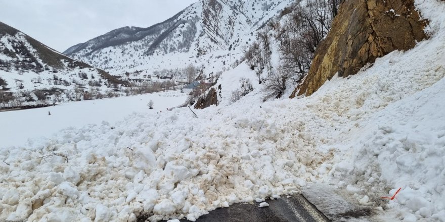 Bingöl’de 3 noktada çığ düştü