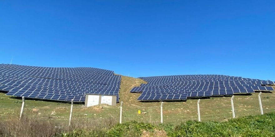 Aydın'da güneş enerjisi sektörü hareketlendi