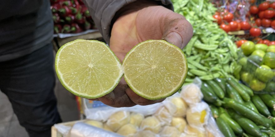 Oteller kasa kasa alıyor, lime limonuna talep yoğun