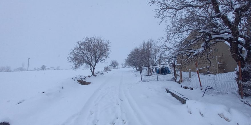 Tunceli’de 250 köy yolu ulaşıma kapandı