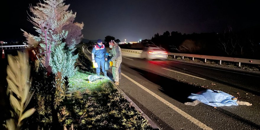 Yolun karşısına geçmek isterken hayatını kaybetti