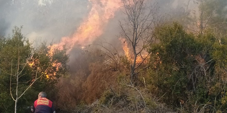 Kontrolden çıkan anız ateşi, ormanlık alana sıçradı