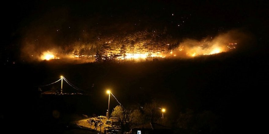 Çanakkale'deki orman yangını soğuk hava deposu tesislerini tehdit ediyor